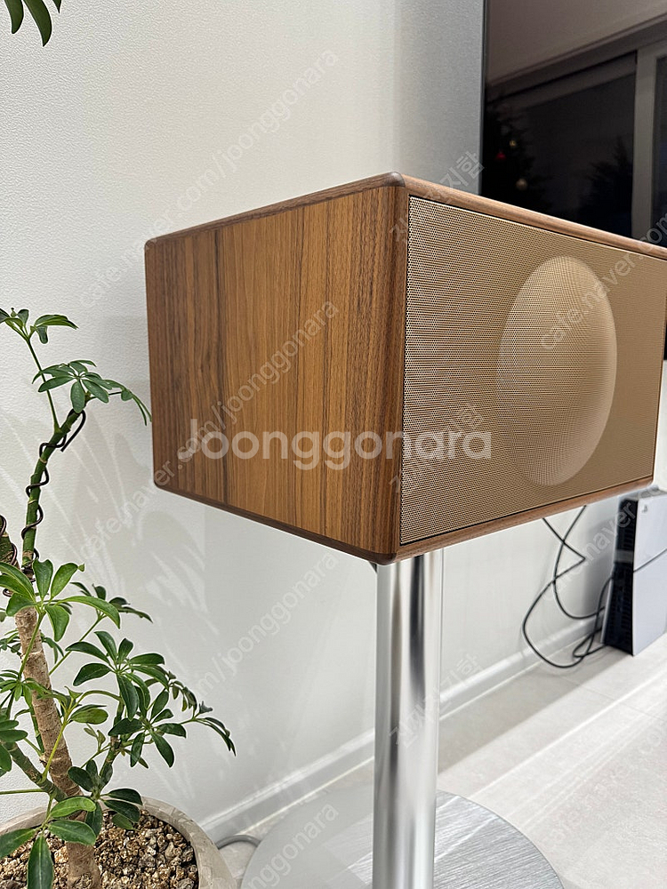 제네바 L 월넛(스탠드 포함)--2